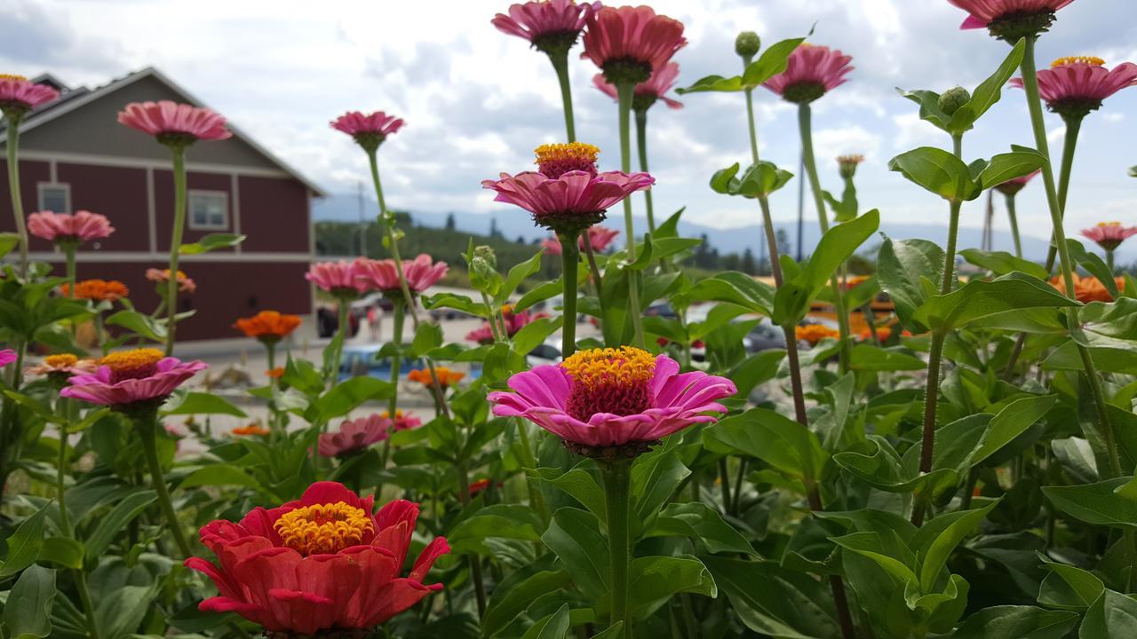 Hillcrest Farm Market B&B Kelowna Luaran gambar